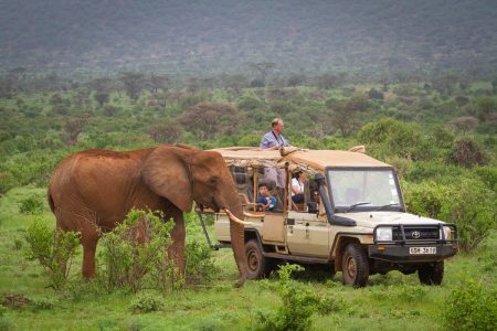 4 Days Salas Camp In Masai Mara Tour By Air