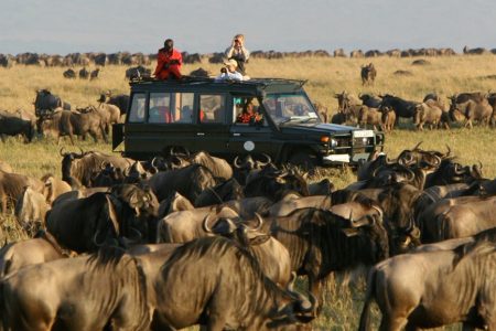 7 Days Flying Safari To Amboseli, Samburu And Masai Mara Tour